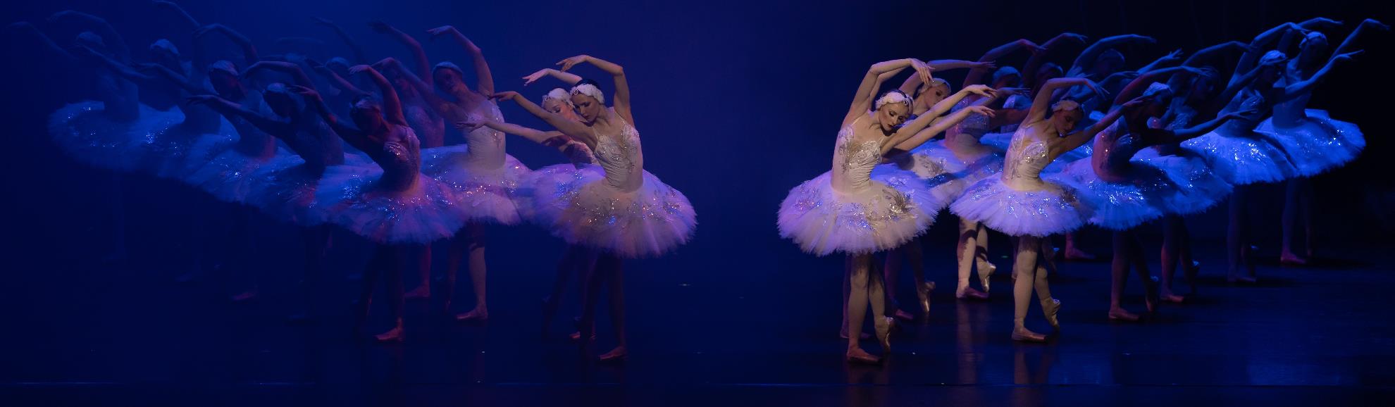SwanLake-Slider.jpg